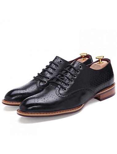 Men's Shoes Office & Career / Party & Evening / Casual Oxfords Black / Brown  